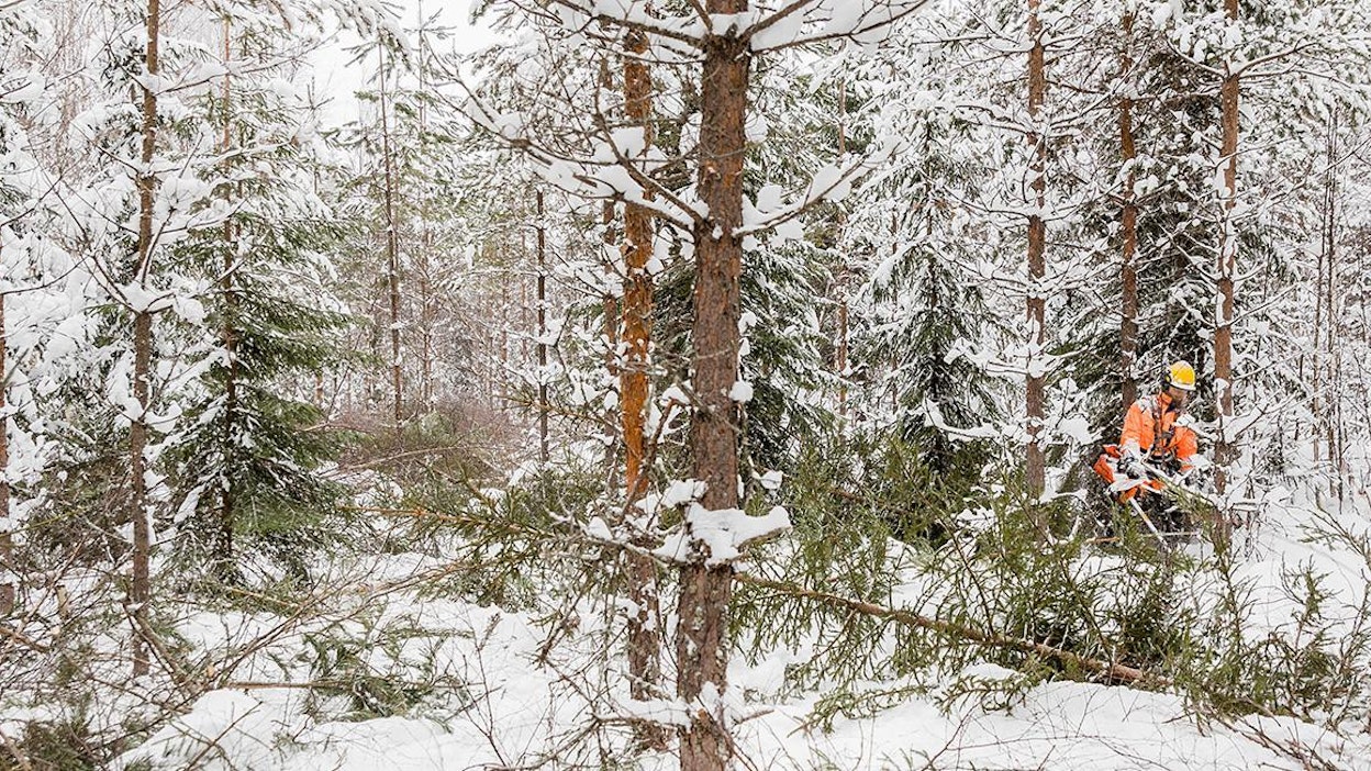 Nykyiset varusteet pitävät kosteuden hyvin ulkona, mutta ahkera metsuri kastuu kyllä sisältäpäin.
