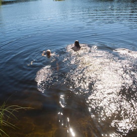 Lounais-Suomessa hukkumiset ovat kasvaneet vuoden takaiseen eniten Suomen Uimaopetus- ja Hengenpelastusliitto ry:n ennakkotilastojen mukaan.