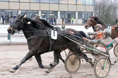 Titlemania nappasi uran seitsemännessä kilpailussa jo kuudennen voittonsa.