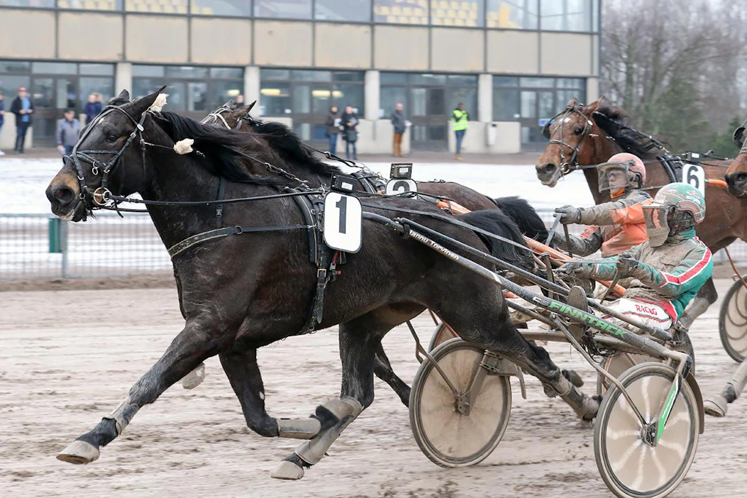 Titlemania nappasi uran seitsemännessä kilpailussa jo kuudennen voittonsa.