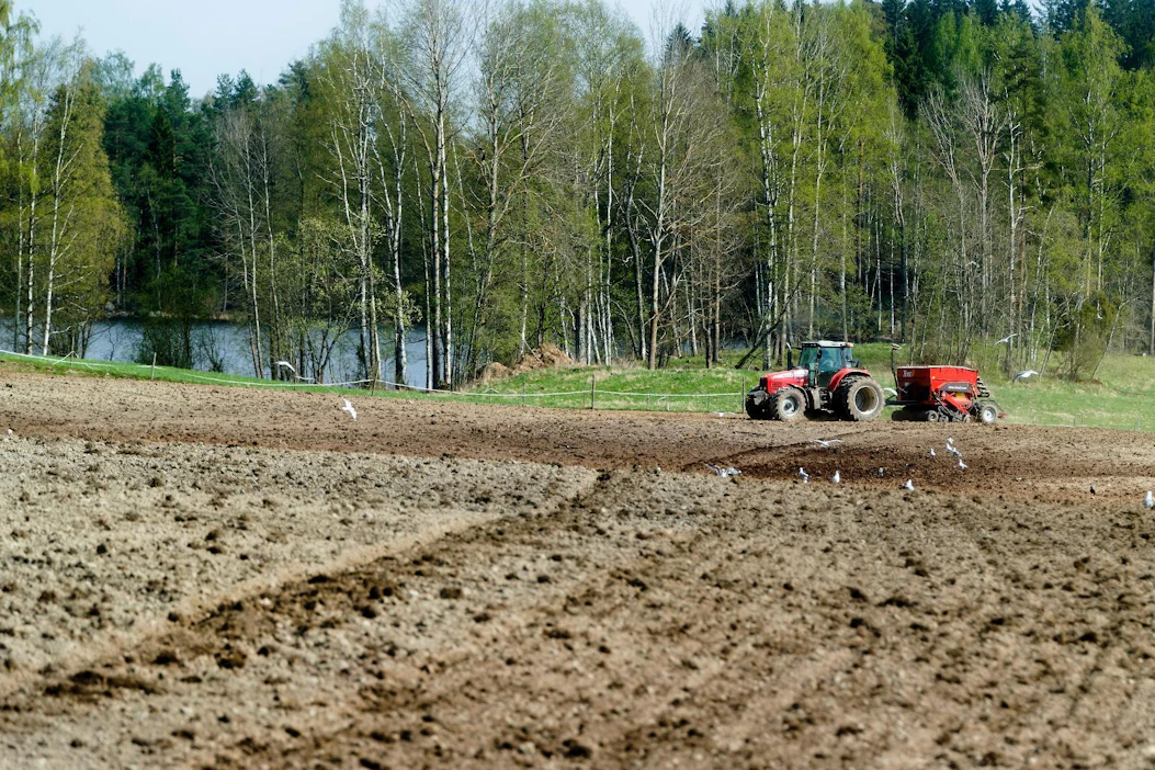 Kylvöt ovat hyvässä vauhdissa Hämeenlinnan Hauholla, jossa Ville Kallela perusti maanantaina nurmea suojaviljaan.