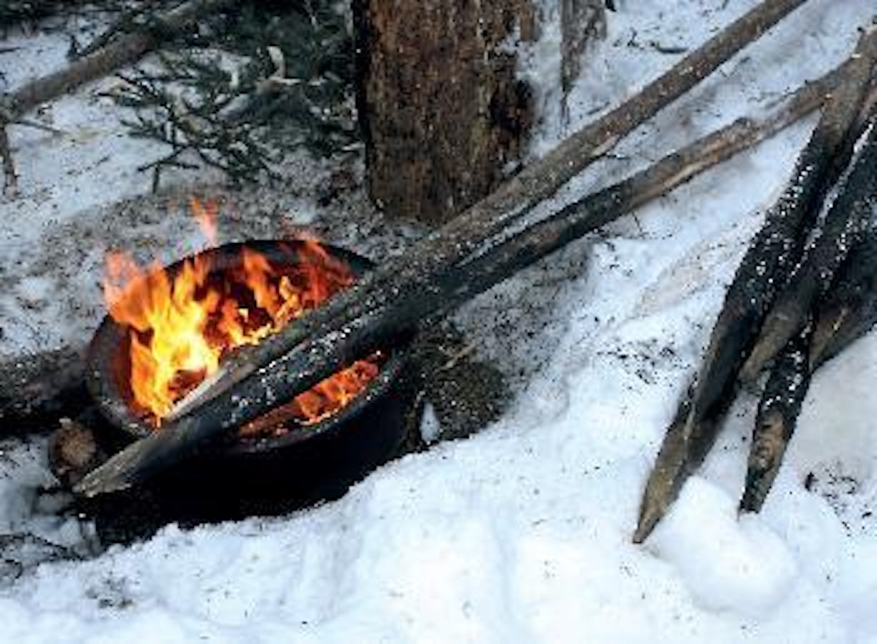 Ennen kyllästysaineiden yleistymistä aidanseipäät suojattiin lahoamiselta hiillostamalla niiden alaosat. Hyvällä tuurilla seiväs saattoi kestää maassa vuosikymmeniä. Hiillostamisen teho perustuu lahottajasienen käyttämien ravinteiden häviämiseen puun pinnalta.