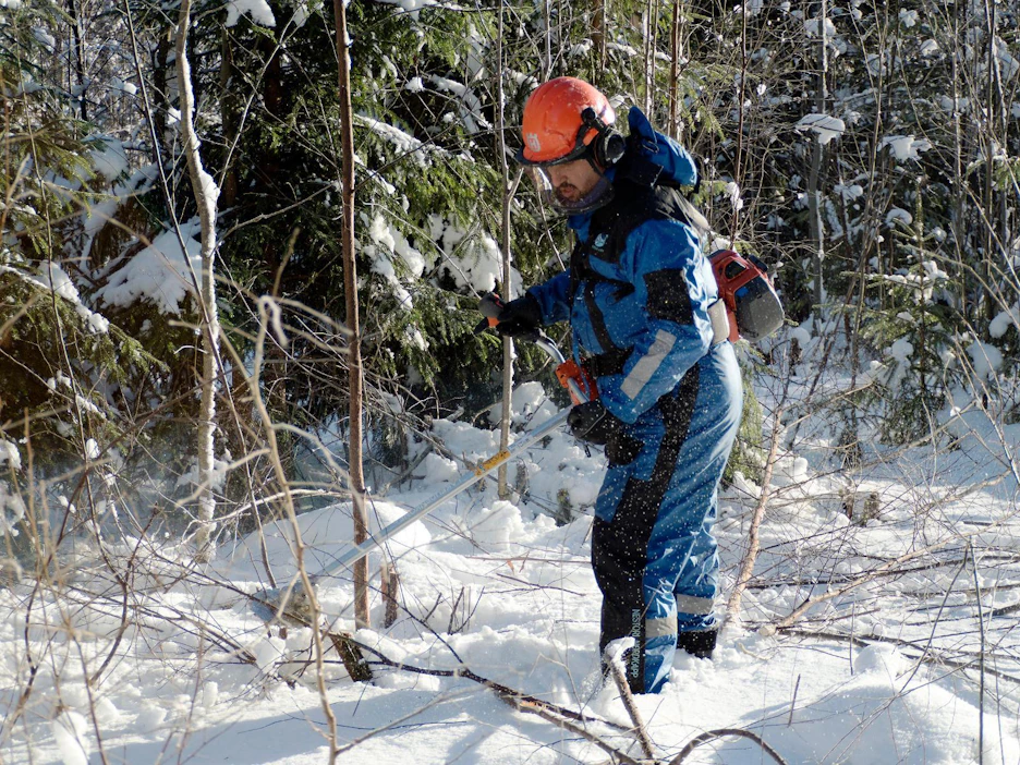 Kaikkiaan 35 turvapaikanhakijaa Vihdin Riuttarannan vastaanottokeskuksesta kotoutui Suomeen raivaamalla metsää vuonna 2016.