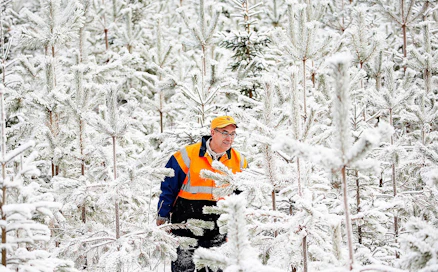 Mikko Tiirolan mukaan metsiin ja omaisuuden suojaan liittyvät kysymykset ovat niin vaikeita, että ne saattavat keväällä heiluttaa hallitusta.