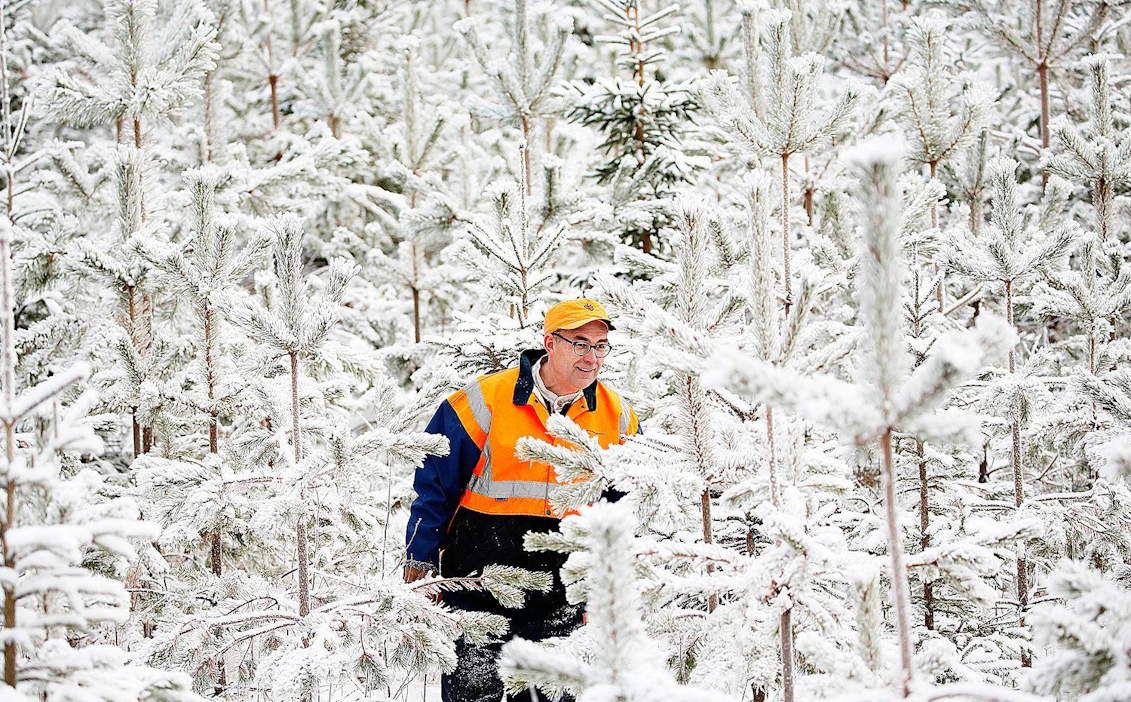 Mikko Tiirolan mukaan metsiin ja omaisuuden suojaan liittyvät kysymykset ovat niin vaikeita, että ne saattavat keväällä heiluttaa hallitusta.