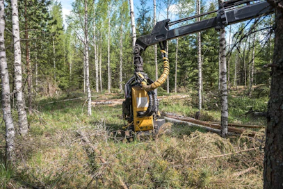 Kemeratuki on tarkoitettu ensiharvennuskohteisiin, jotka eivät kävisi kaupaksi ilman tukea.