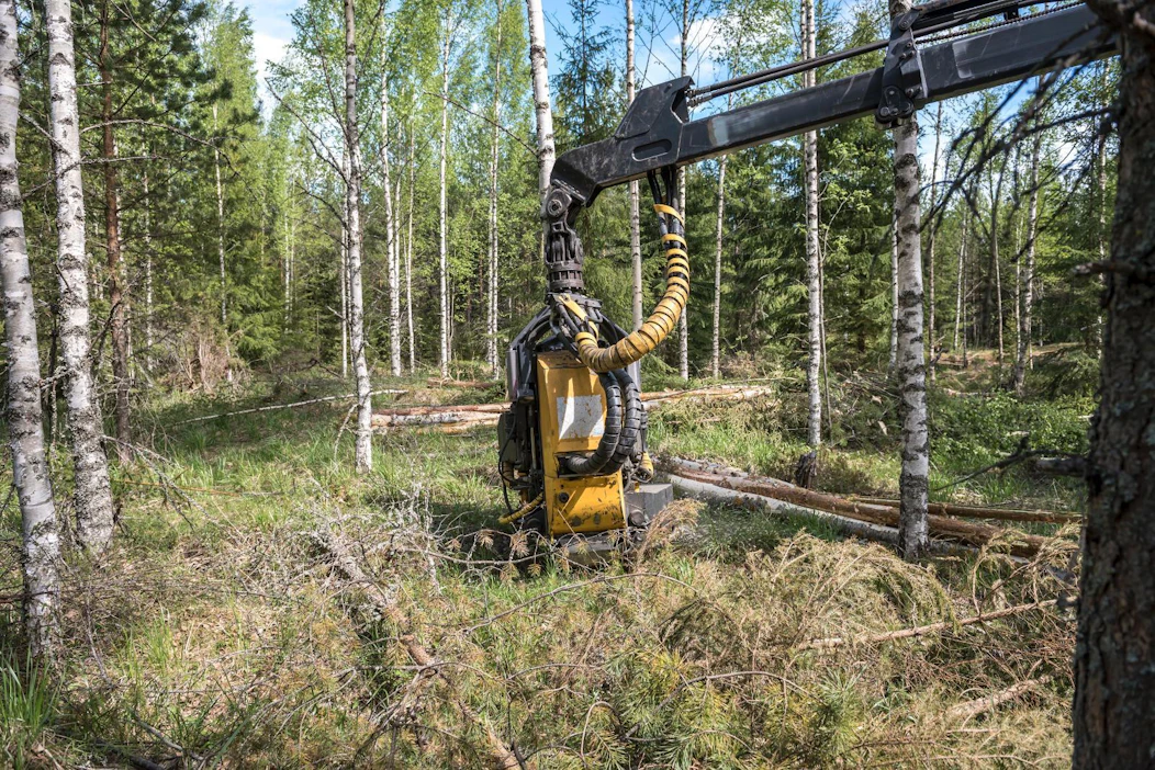 Kemeratuki on tarkoitettu ensiharvennuskohteisiin, jotka eivät kävisi kaupaksi ilman tukea.