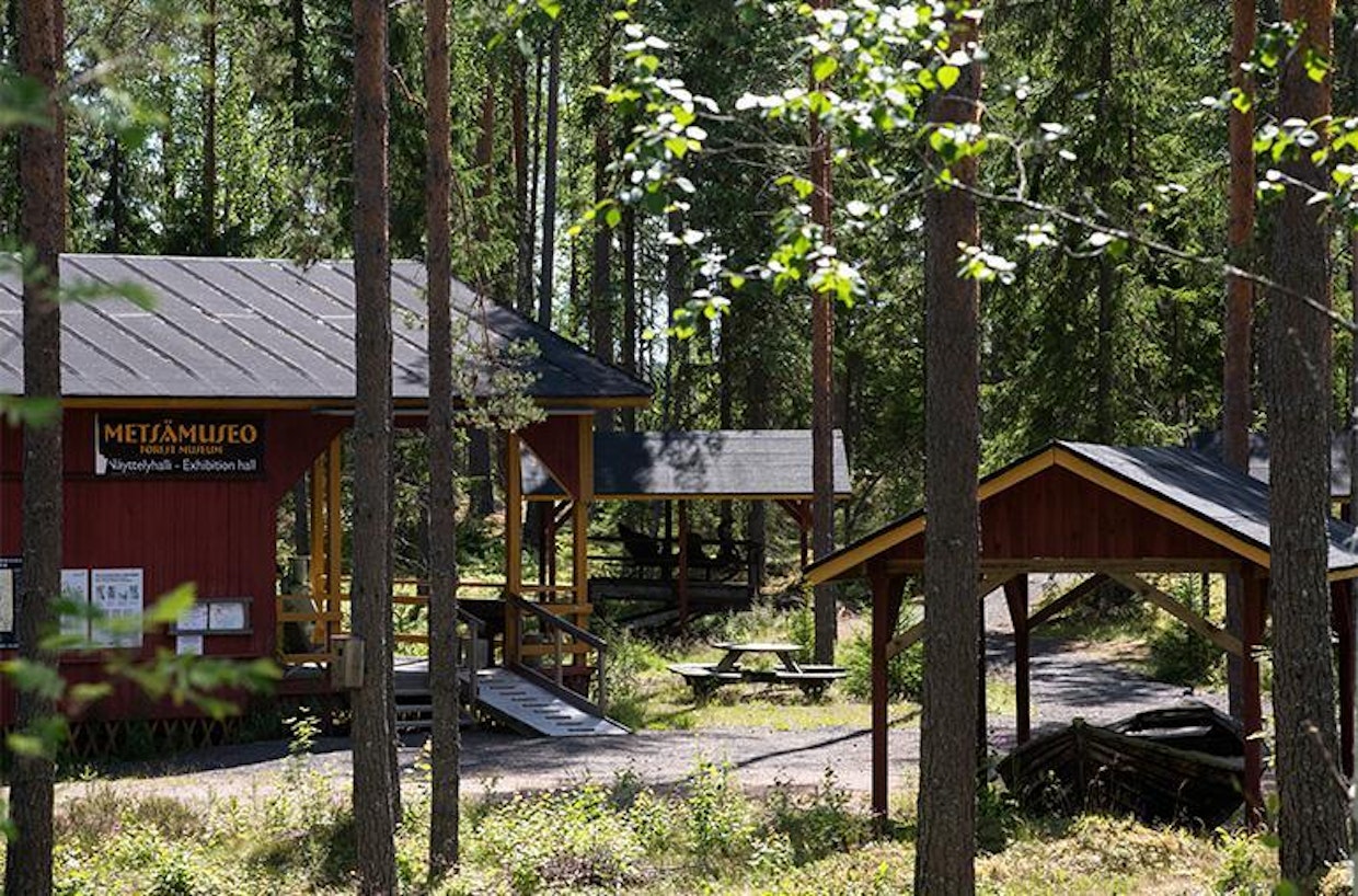 Parkanon metsämuseo esittelee metsätyön historiaa sadan vuoden ajalta puunkorjuun koneellistamiseen saakka.