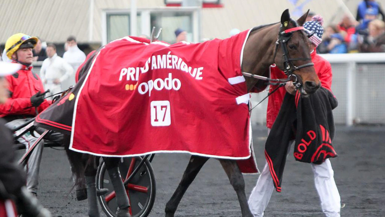 Bold Eagle, kaksinkertainen Prix d'Amerique-voittaja.