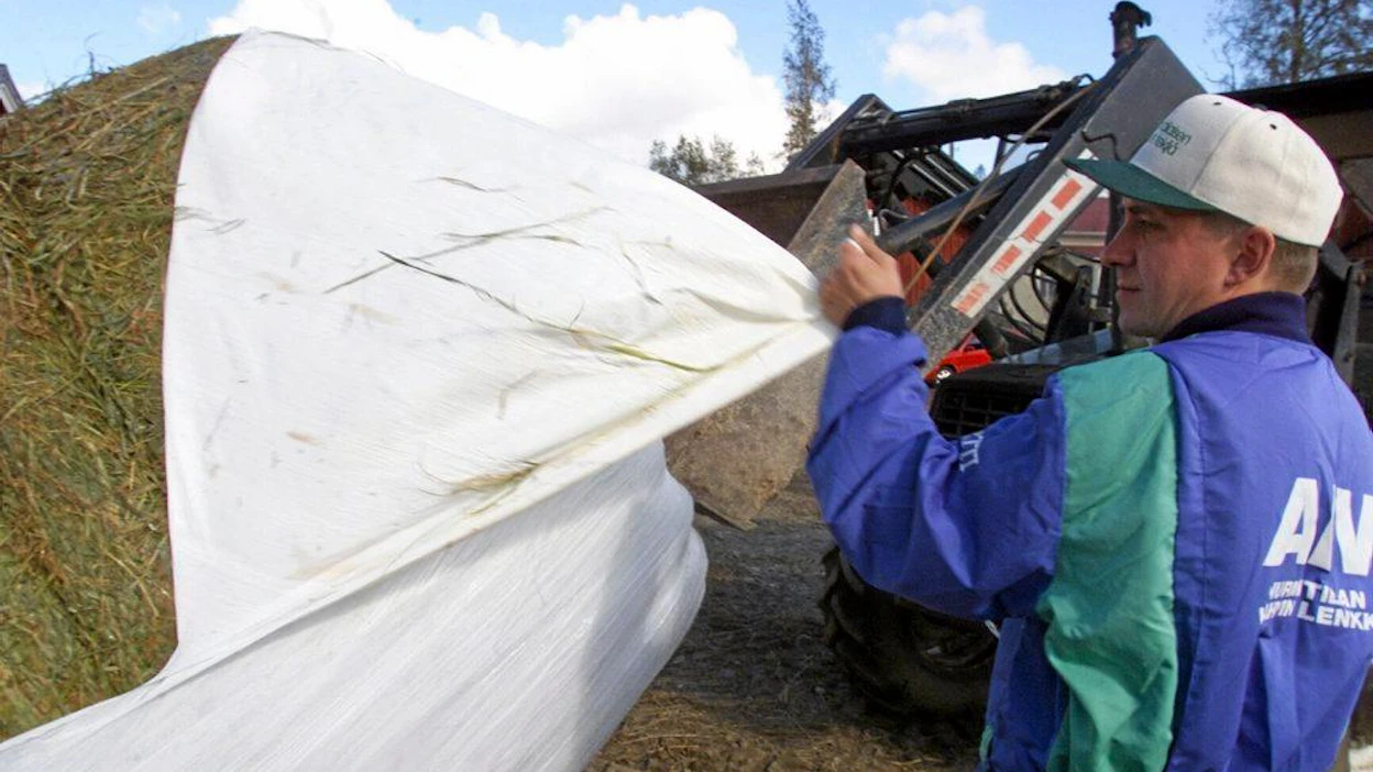 Etelä-Savon maaseutunuoret. tiedotustilaisuus polttoöljyn korkean hinnan vaikutuksista tuotantokustannuksiin. Jarmo Nykänen vie ja kuorii säilörehusuurpaalia lehmille muovi pois pyöröpaali