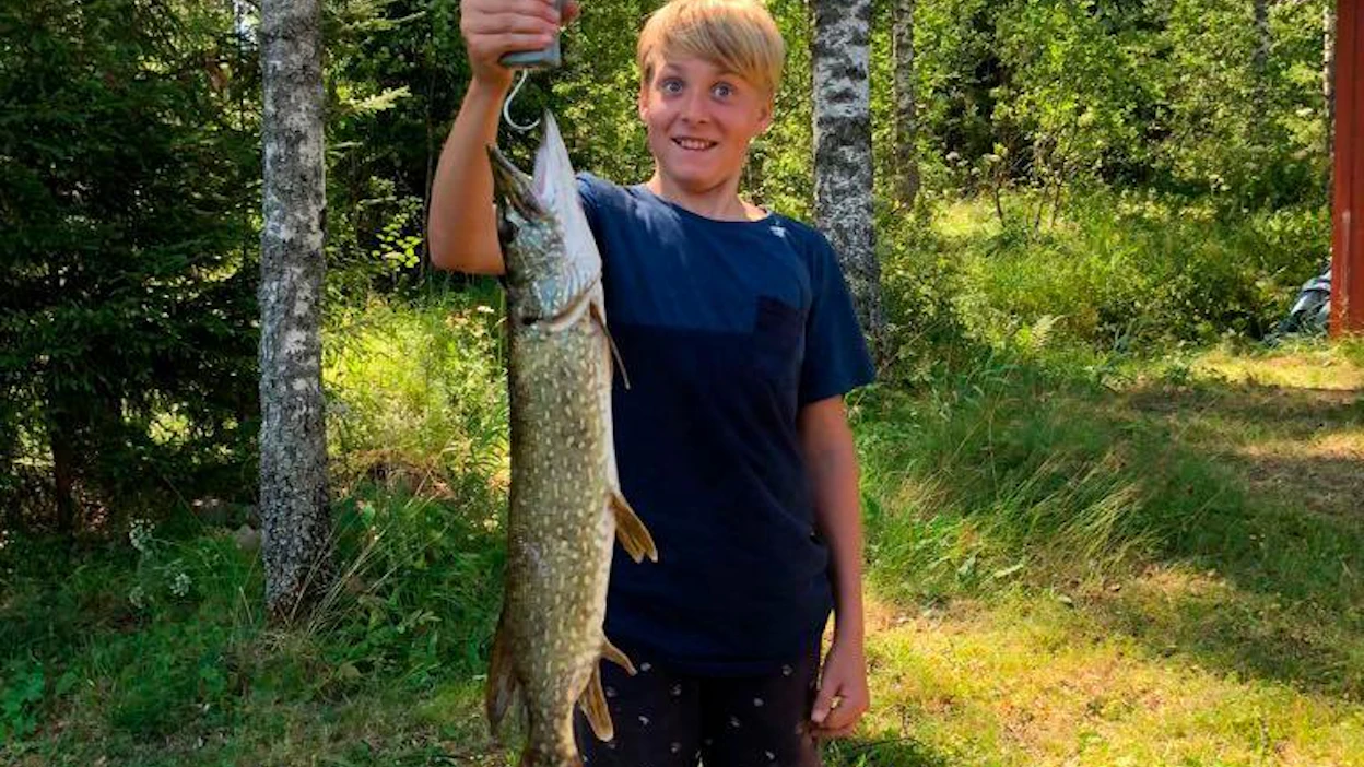 Nico Kulju onnistui nappaamaan heinäkuun helteiden aikana 2,2 kilon hauen vanhalla lasten virvelillään.