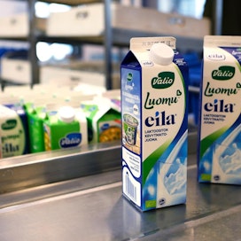 Helsingin päiväkodeissa voitiin siirtyä luomurasvattomaan maitoon vasta, kun siihen oli alettu lisätä D-vitamiinia.