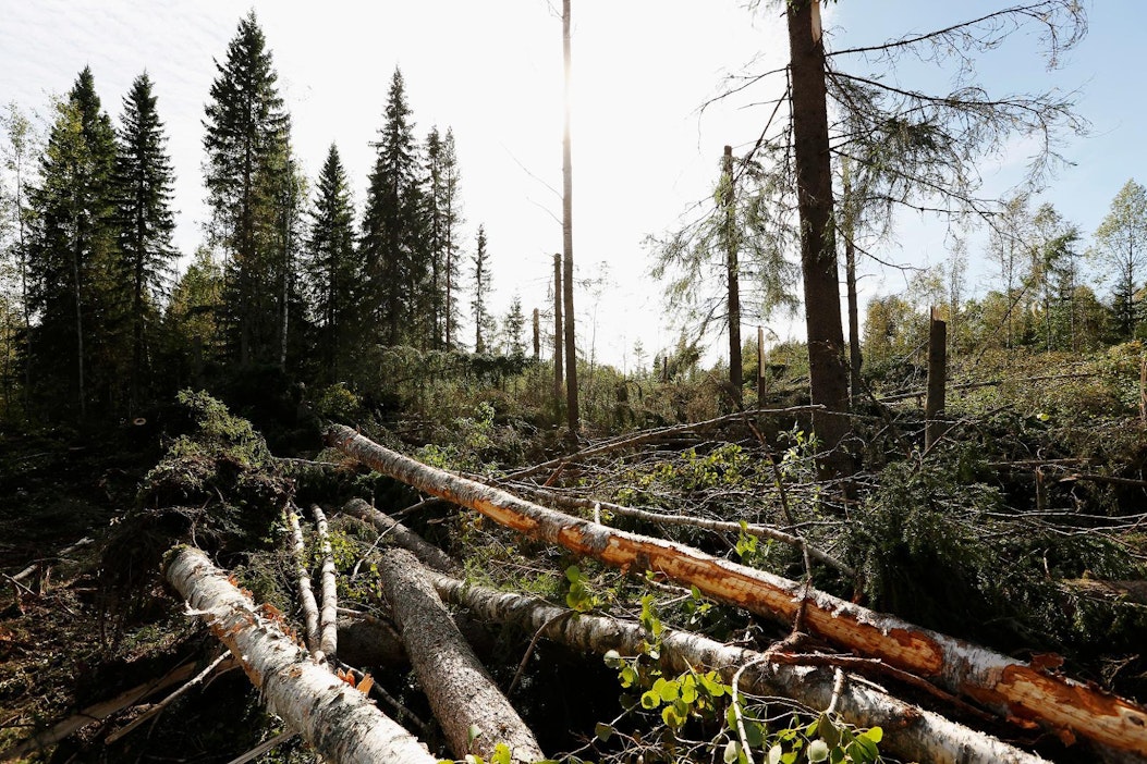 Osa Suomen yli kulkevista matalapaineista voi äityä myrskyksi.