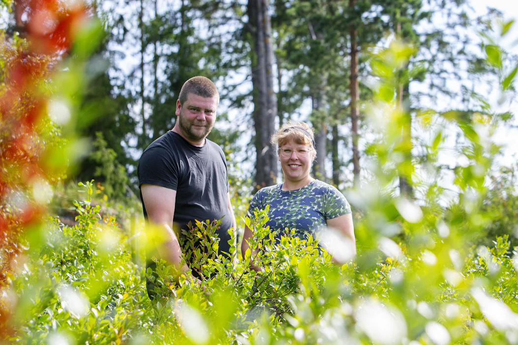 Katri Paakki ja Samuli Mäenpää halusivat asumaan maalle omaan rauhaan. Kaupan päälle tuli yli hehtaarin ala pensasmustikkaa.