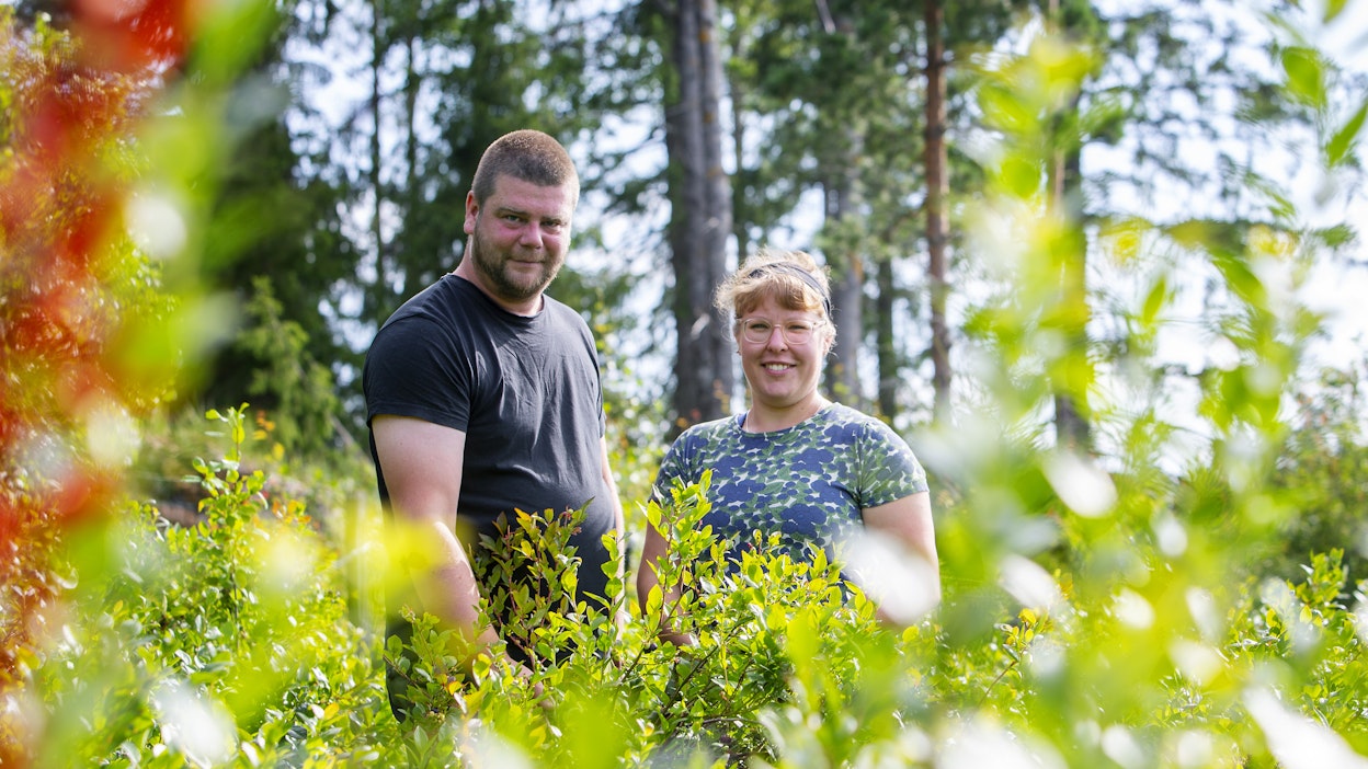Katri Paakki ja Samuli Mäenpää halusivat asumaan maalle omaan rauhaan. Kaupan päälle tuli yli hehtaarin ala pensasmustikkaa.