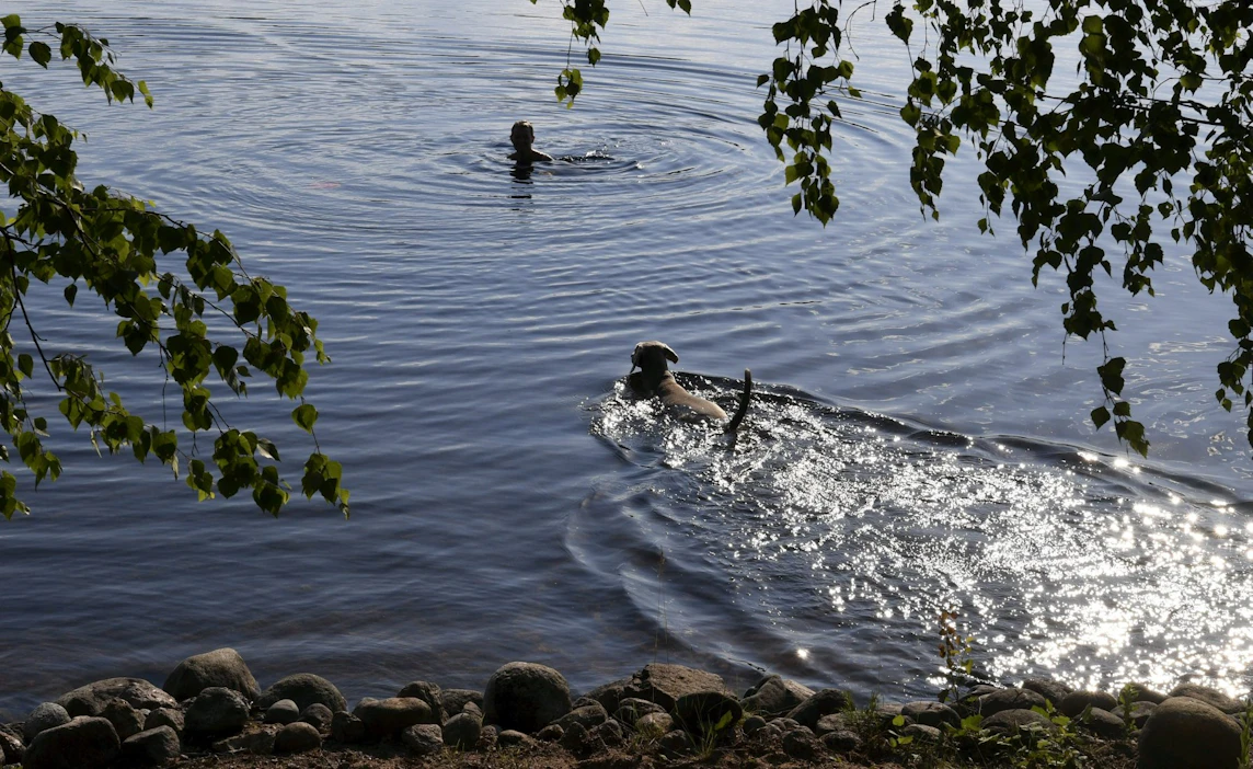 Alkuviikolla lämpöä on enimmillään 20 asteen molemmin puolin, mutta viikon puolivälistä alkaen myös helteet ovat mahdollisia.