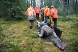 Vain Etelä-Hämeessä ja Varsinais-Suomessa saalis jäi edellisvuotta pienemmäksi. Arkistokuva. LEHTIKUVA / Jussi Nukari.