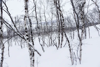 Pohjois-Suomen yllä liikkuu sunnuntaina matalapaine itään. Pilvisyys on vaihtelevaa, lumisadealue liikkuu matalan myötä lännestä itään.