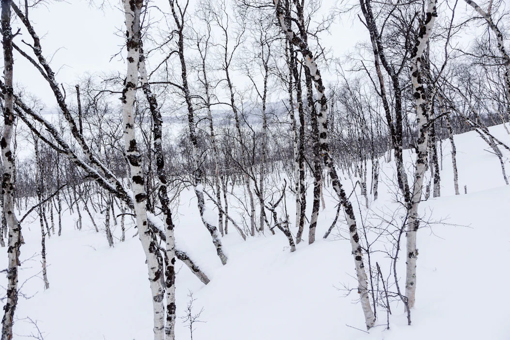 Pohjois-Suomen yllä liikkuu sunnuntaina matalapaine itään. Pilvisyys on vaihtelevaa, lumisadealue liikkuu matalan myötä lännestä itään.