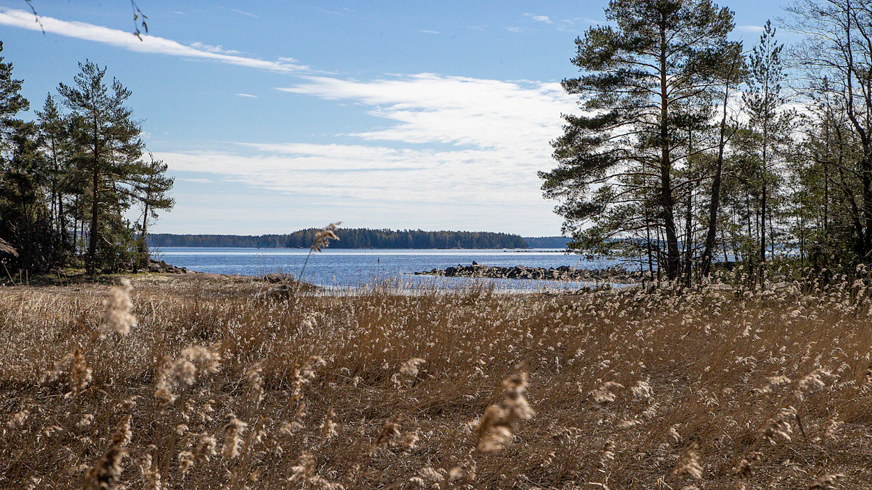 Yhdistettynä vähintään kohtalaiseen ja puuskaiseen tuuleen ilma tuntuu mittarilukemaa kylmemmältä.