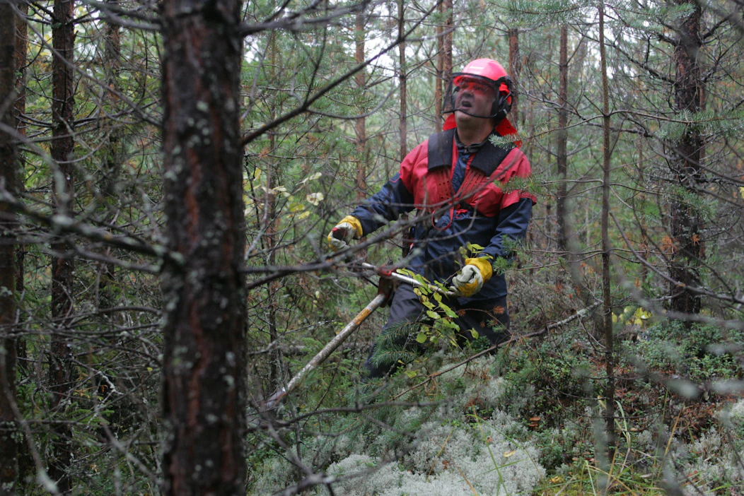 Kestävän metsätalouden edistämiseen tarkoitettujen kemeravarojen käyttö on kasvanut alkuvuonna.