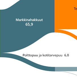 Kaikkea Suomen metsien runkopuun poistumaa ei korjata käyttöön. Metsiin jäi 2023 14,1 miljoonaa kuutiometriä eri tavoin kuollutta runkopuuta. Energiapuuta korjattiin latvusmassana ja kantoina runkopuun lisäksi 2,8 miljoonaa kuutiota.