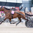 Hannu Torvinen vastaa Massimo Hoistin ohjastuksesta myös Kymi GP:ssä.