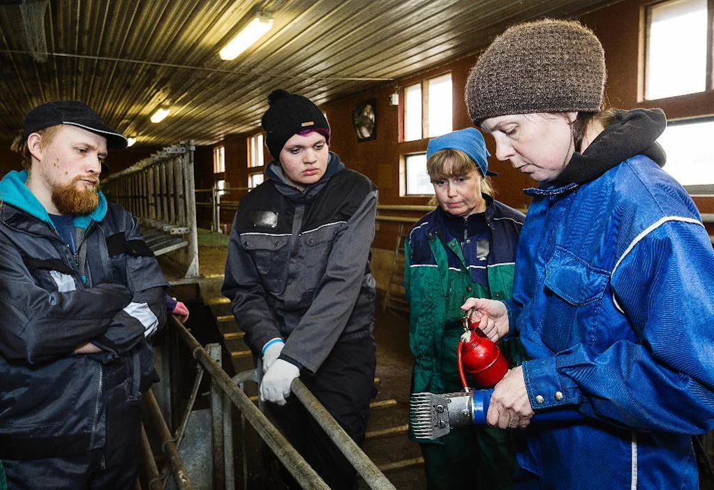Katja Sikka neuvoo rentoa otetta ja neuvoo lisäämään öljyä keritsimeen. Tuomas Myllylä, Pauliina Rautalin ja Nina Jääskeläinen opiskelevat.