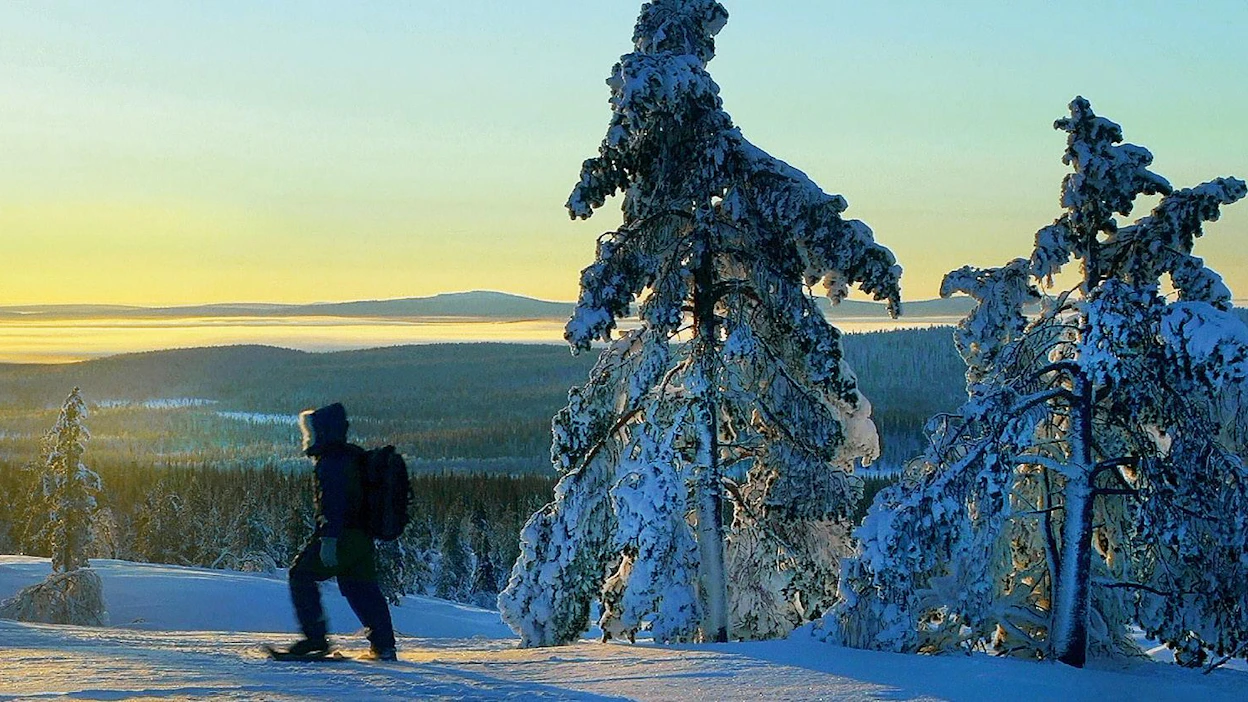Petteri Saarion uudessa luontosarjassa lumoudutaan erämaista. Tässä kuvassa hän on etsimässä kiirunoita Ylläs-Pallastunturin kansallispuistossa. Petteri Saario