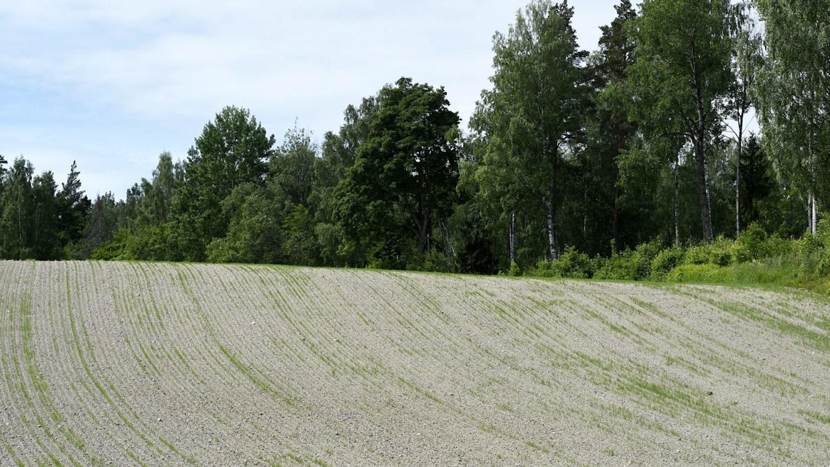 Kasvukausien pidentyminen on johtunut erityisesti kasvukauden alun aikaistumisesta.