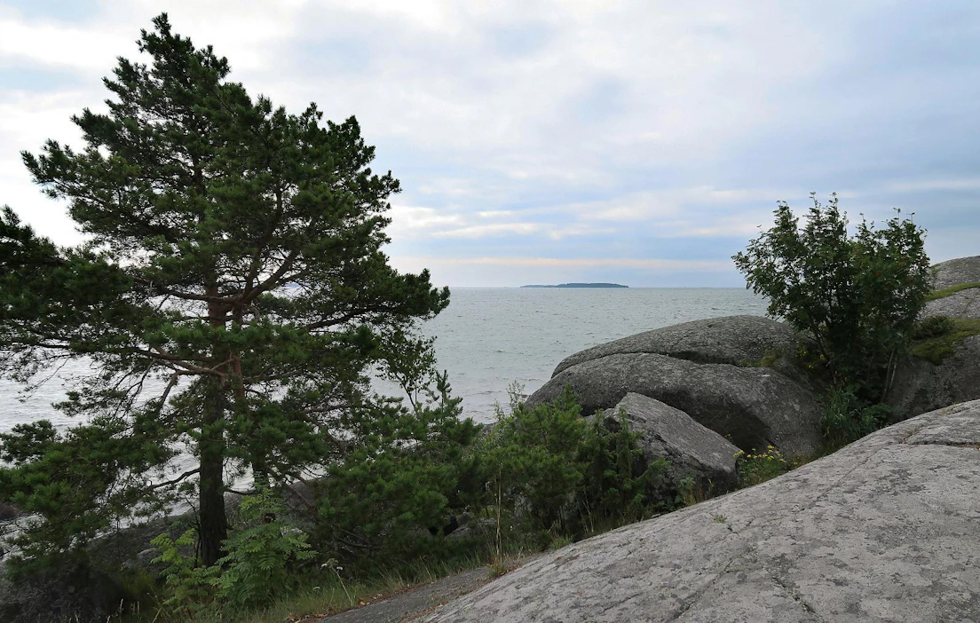 Suomen valtavaa rantavyöhykettä ja sen luonnollista ravinnevalumaa ei huomioida missään, lukija kirjoittaa.