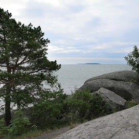 Suomen valtavaa rantavyöhykettä ja sen luonnollista ravinnevalumaa ei huomioida missään, lukija kirjoittaa.