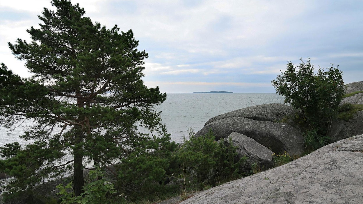 Suomen valtavaa rantavyöhykettä ja sen luonnollista ravinnevalumaa ei huomioida missään, lukija kirjoittaa.