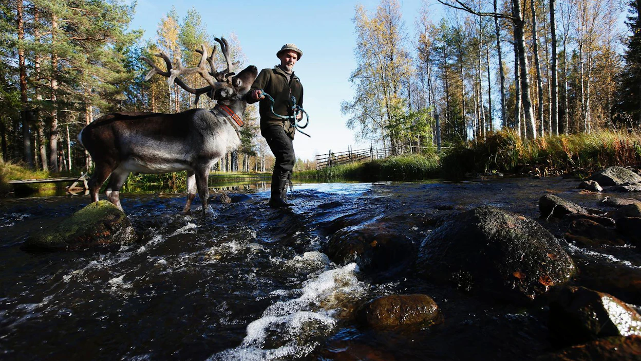 Kilpiskosken maisema Kipinän kalastuskeskukselta oli perjantaina saanut jo syysvärityksensä.