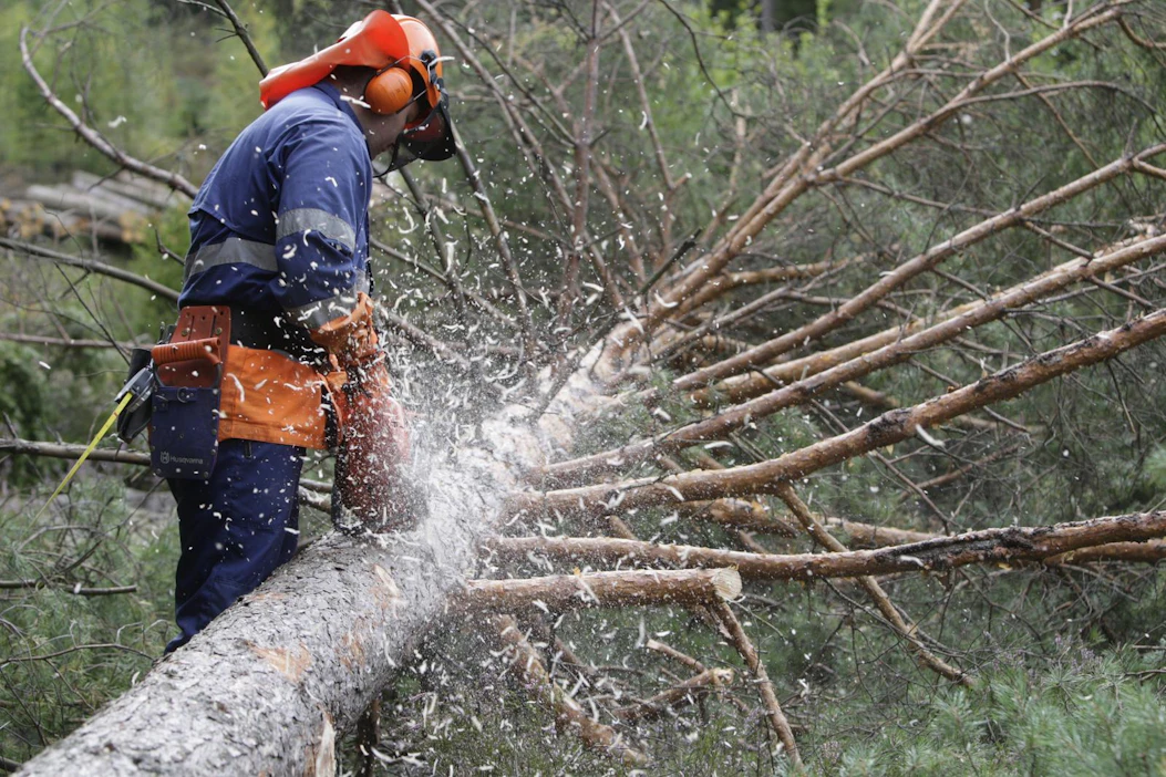Ammattisahojen valmistajat, kuten Husqvarna ja Stihl ovat yrittäneet saada halpasahoja myyntikieltoon Ruotsissa.