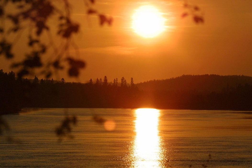 Uusi löydös voisi auttaa niin kasveja kuin ihmisiä.