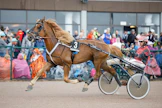 Santtu Raitalan ohjastama Huisi Hemmo vei ensimmäisen Derby-karsinnan kilometriajalla 1.25,6a/2140 metriä. Arkistokuva.