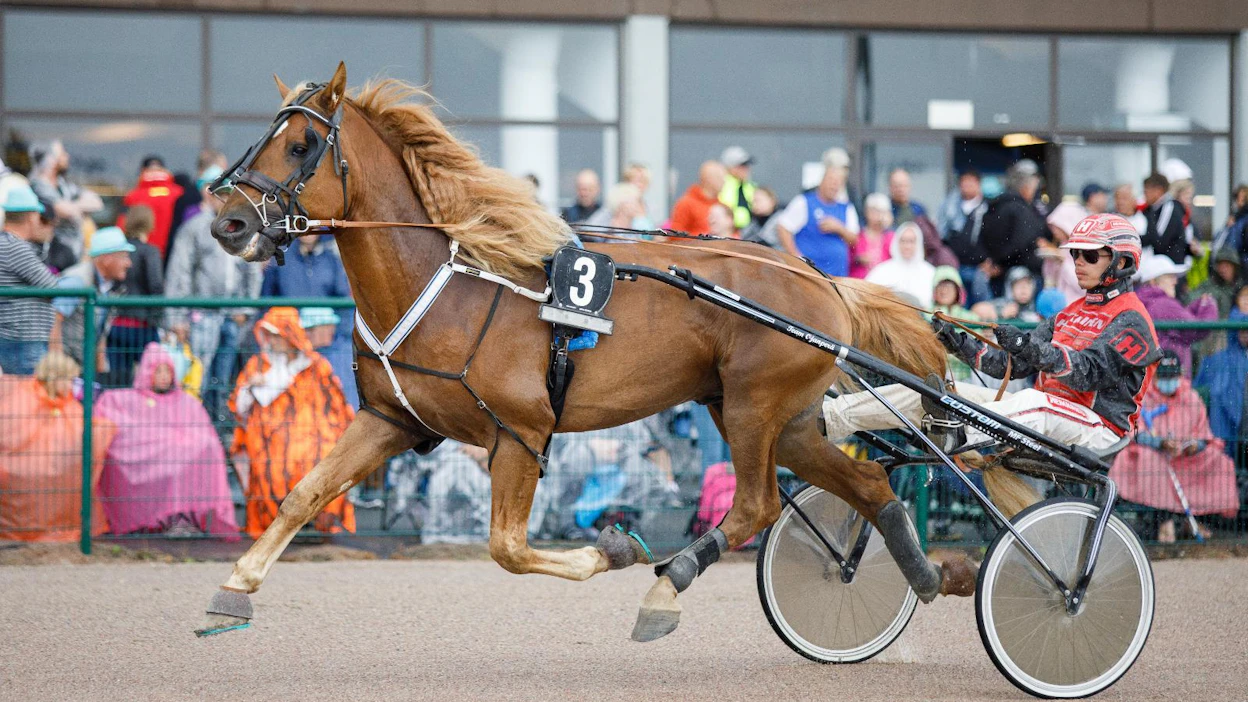 Santtu Raitalan ohjastama Huisi Hemmo vei ensimmäisen Derby-karsinnan kilometriajalla 1.25,6a/2140 metriä. Arkistokuva.