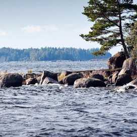 Ravinnekuormituksen vähentyminen näkyy Suomenlahdella levien vähenemisenä ja veden kirkastumisena.