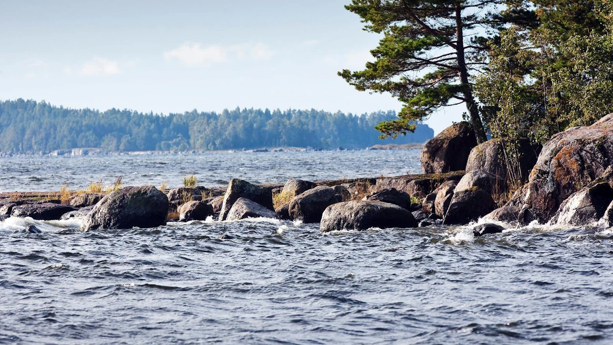 Ravinnekuormituksen vähentyminen näkyy Suomenlahdella levien vähenemisenä ja veden kirkastumisena.