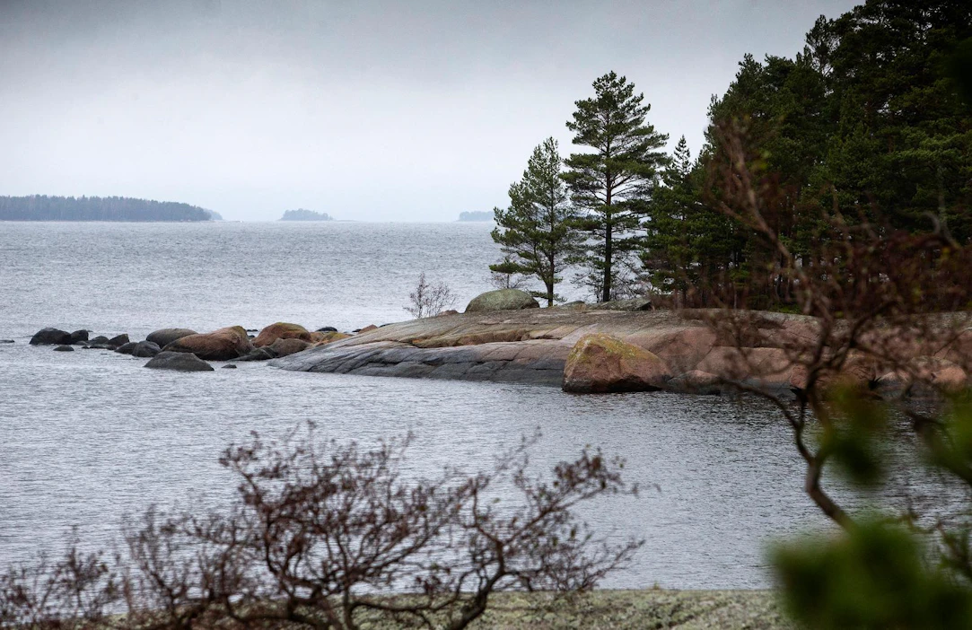 Itämeren sinilevätilanne on ollut tänä kesänä rauhallinen. Syksyllä sinileväkukintojen määrä vähentyy radikaalisti tuulisen ja kolean sään sekä valon vähentymisen seurauksena.