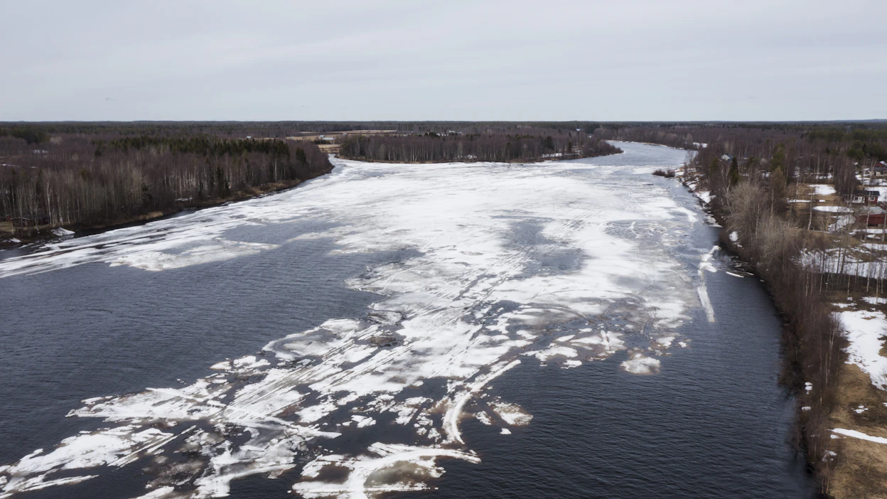 Simojoki on viimeinen kokonaan Suomen rajojen sisällä virtaava patoamaton lohijoki.