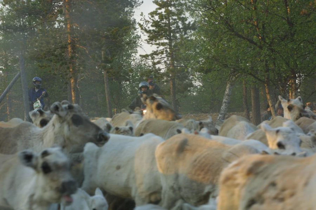 Paliskunta paheksuu sitä, että malminetsintää ennakoivasta varausilmoituksesta ei ole tiedotettu viranomaisten puolelta. "Olisi suotavaa, että päätöksistä ilmoitettaisiin vähintään aluetta koskevalle paliskunnalle", varaporoisäntä toteaa.