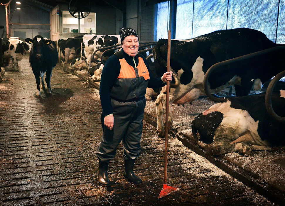 Kirsti Nivala pysyy kiireisenä maatilan töissä, perheen, vaalikampanjoinnin ja luottamustehtävien parissa. Hän kannustaa kaikkia piipahtamaan vaaliuurnalla, sillä kyse on suurten rahasummien jaosta.