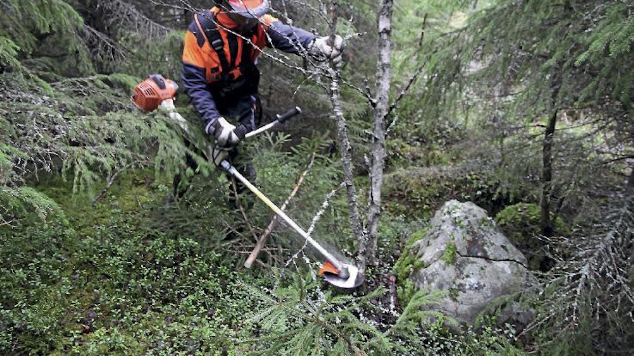 Metsämallin sahan runkoputki voisi olla vieläkin lyhyempi, jolloin lyhyeltäkin sahaajilta onnistuisi kaatuvan rungon ohjailu helpommin. Tällaisissa tarkoissa tilanteissa vääntävällä sahalla on helppo työskennellä.
