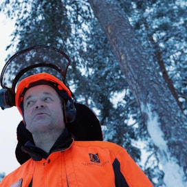 59-vuotias metsuri Reijo Kontinen Kolarista on nyt talven lomautettuna. Työhaluja on vielä useaksi vuodeksi. Kuntoa hän pitää yllä muun muassa hiihtämällä.