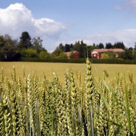 Selvityksen mukaan Pirkanmaalla pellot sijaitsevat kohtuullisella etäisyydellä lannoitetuotteiden mahdollisista valmistuspaikoista.