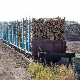 Venäläistä puuta kuljetettiin Suomeen 2000-luvulla runsaasti, enimmillään 17 miljoonaa kuutiota vuodessa.