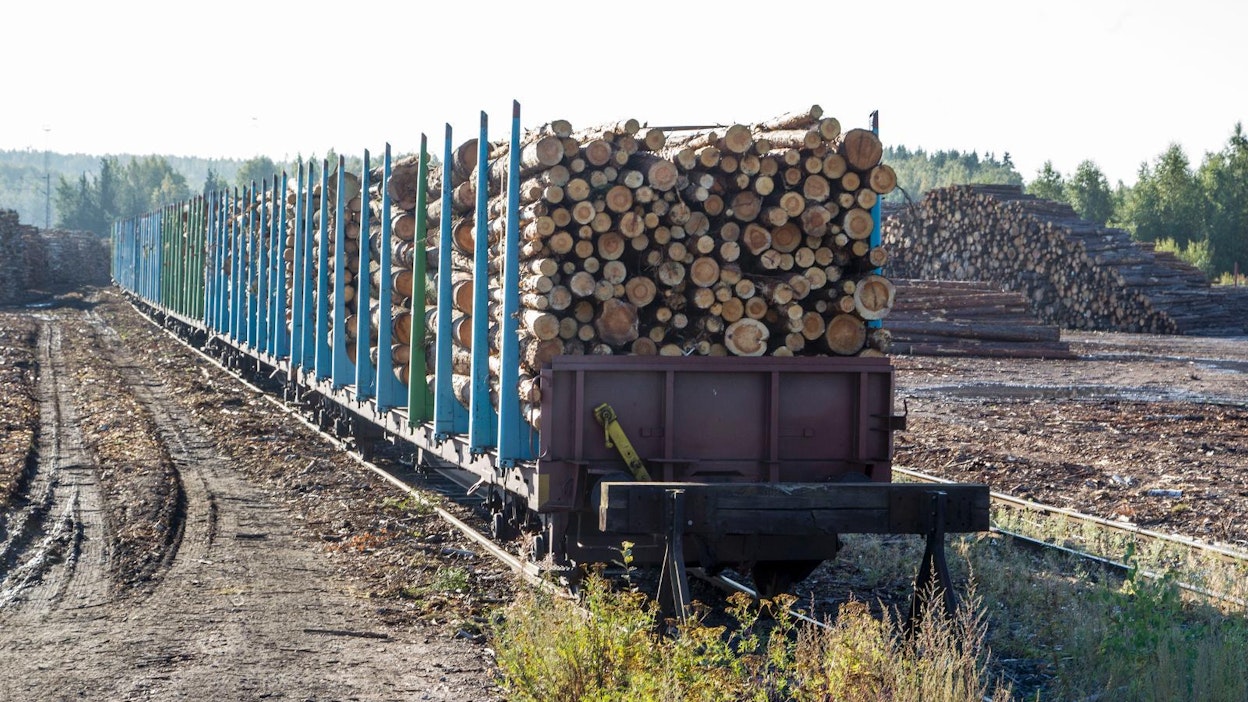 Venäläistä puuta kuljetettiin Suomeen 2000-luvulla runsaasti, enimmillään 17 miljoonaa kuutiota vuodessa.
