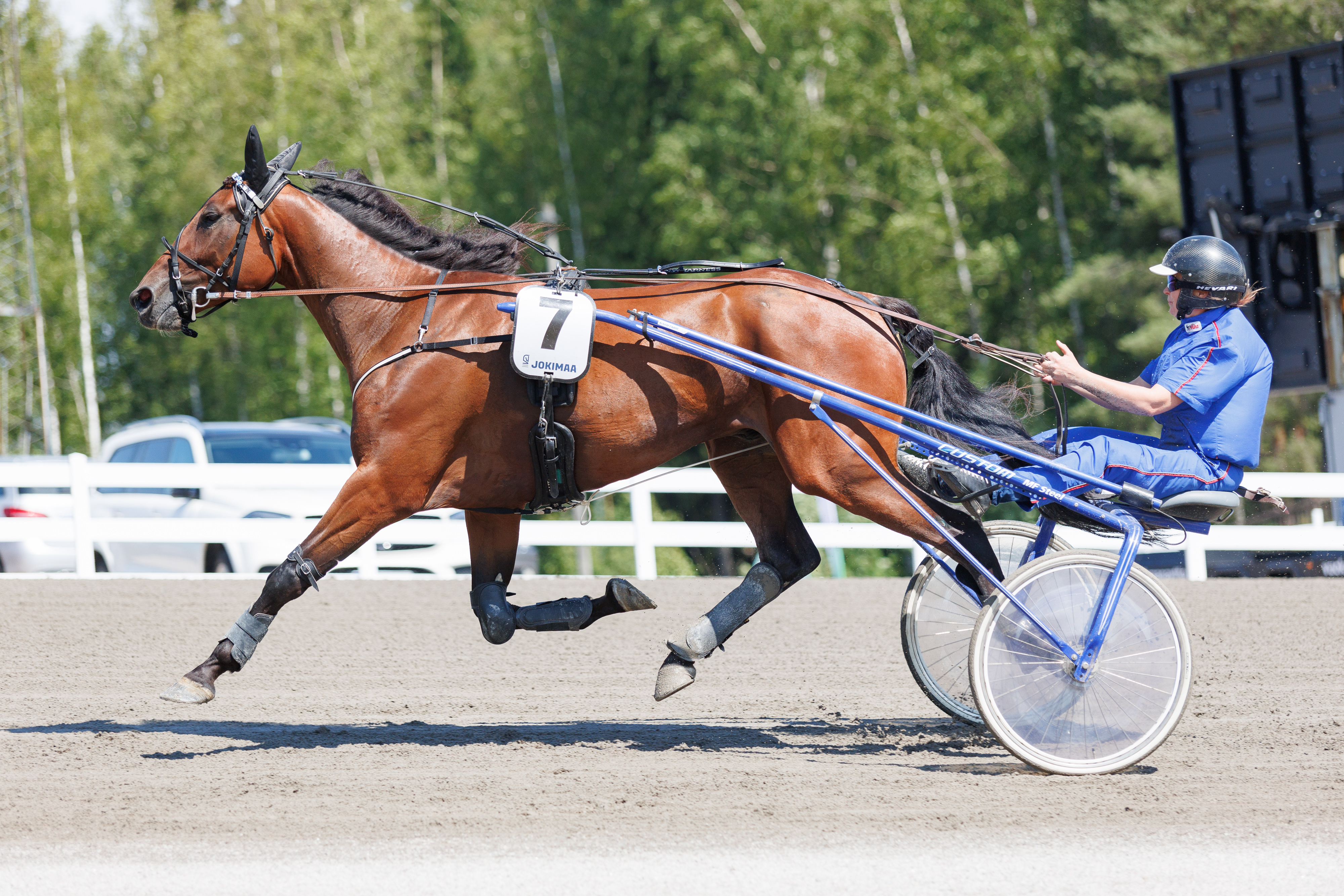Amazing Playerin ja Irina Sarinin tyylinäyte. Vakiohjastaja Jarmo Saarela on keskiviikkona Tukholmassa, joten Vermossa hevosta ohjastaa Ari Moilanen.